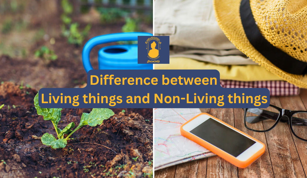 Difference between Living things and Non Living things