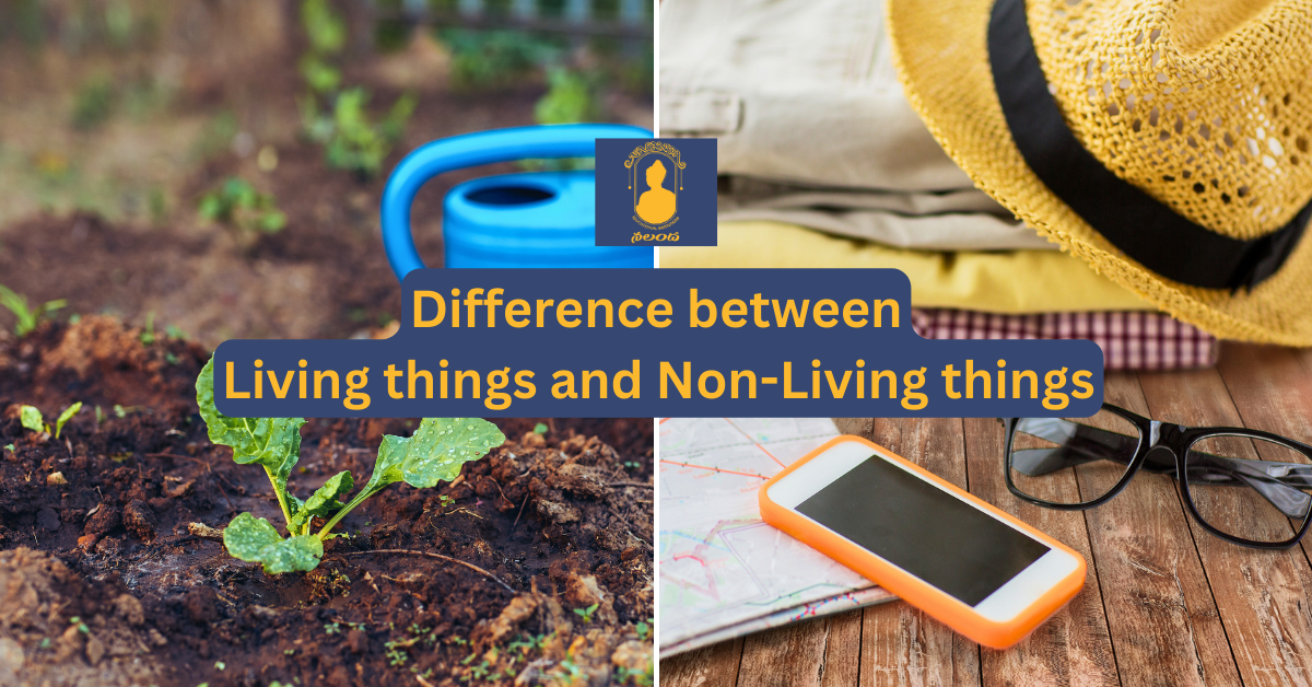 Difference between Living things and Non Living things Nalanda
